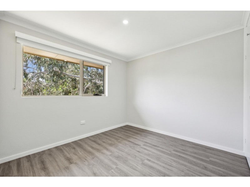 8/108 Davenport Street, Dickson ACT 2602
