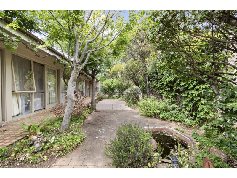 84 Grayson Street, Hackett ACT 2602