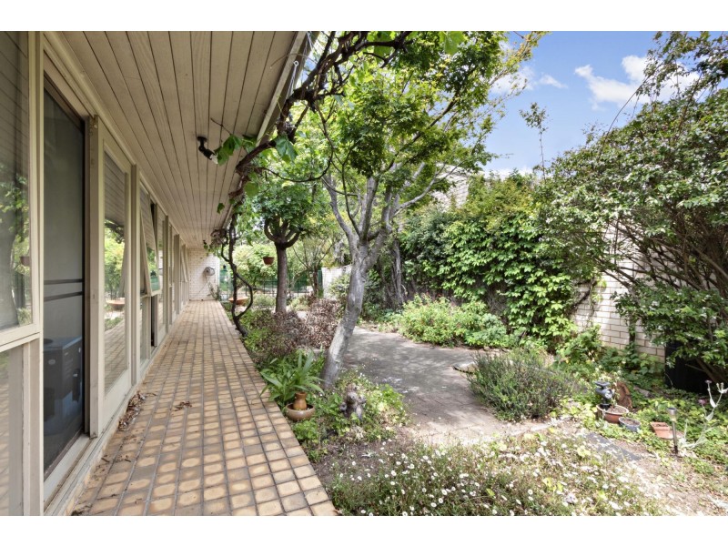 84 Grayson Street, Hackett ACT 2602