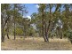 12 Whitmore Crescent, Watson ACT 2602