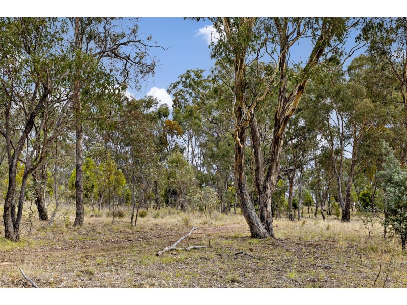 12 Whitmore Crescent, Watson ACT 2602