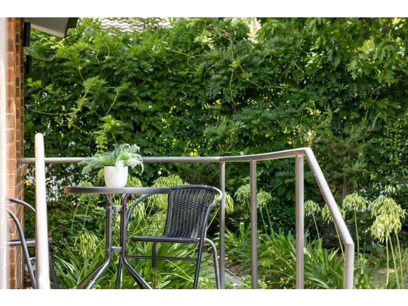 18 Archer Street, Dickson ACT 2602