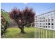 87 Macarthur Avenue, O’connor ACT 2602