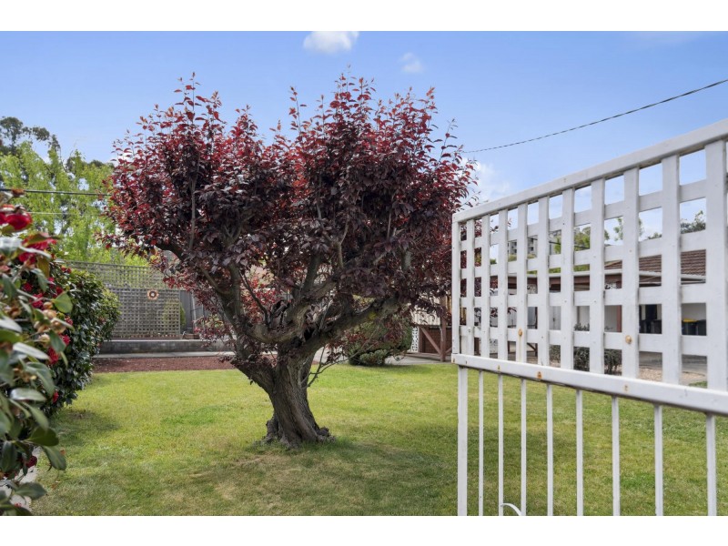 87 Macarthur Avenue, O’connor ACT 2602