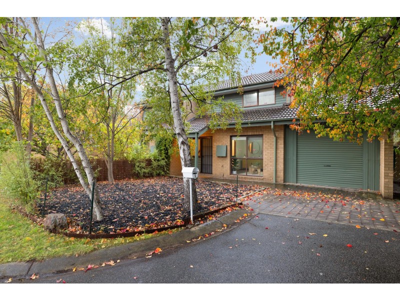 5 Salomons Place, Ainslie ACT 2602