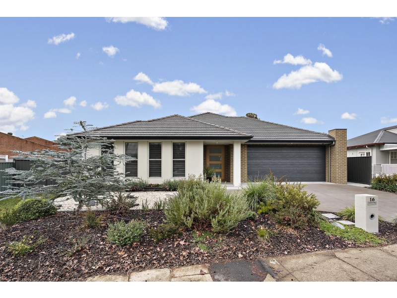 16 Angas Street, Ainslie ACT 2602