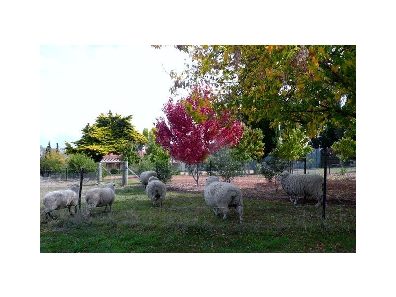 31/35 Edie Payne Close, Nicholls ACT 2913