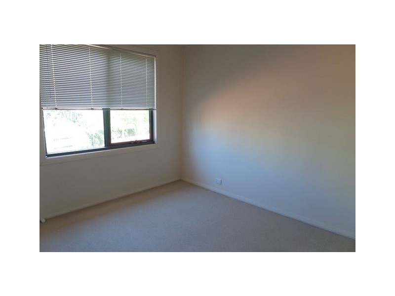 3/38 Ipima Street, Braddon ACT 2612