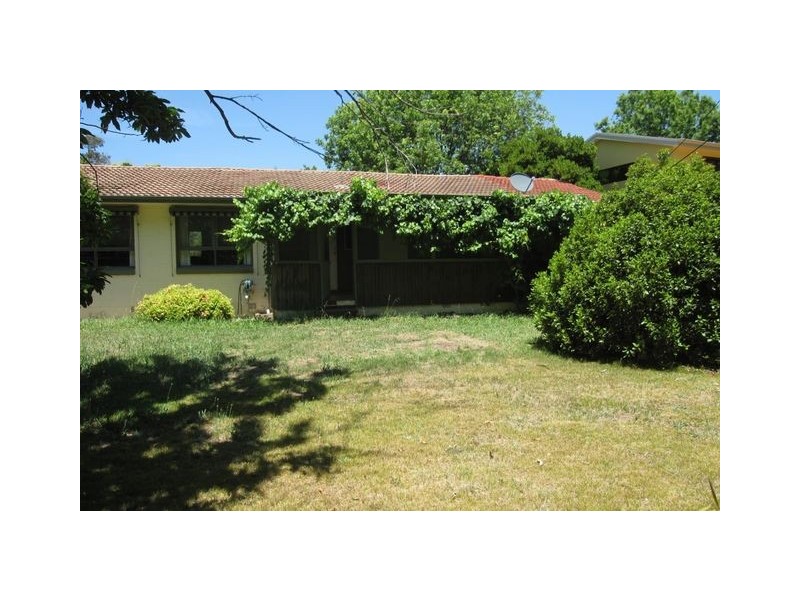 43 Dutton Street, Dickson ACT 2602