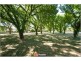9 Dowling Street, Watson ACT 2602