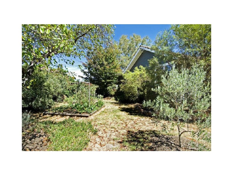 22 Macarthur Avenue, O’connor ACT 2602