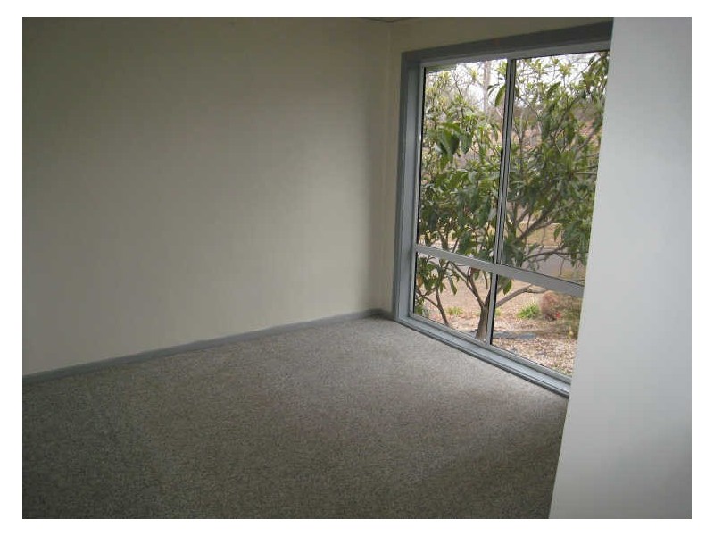 54 Clianthus Street, O’connor ACT 2602