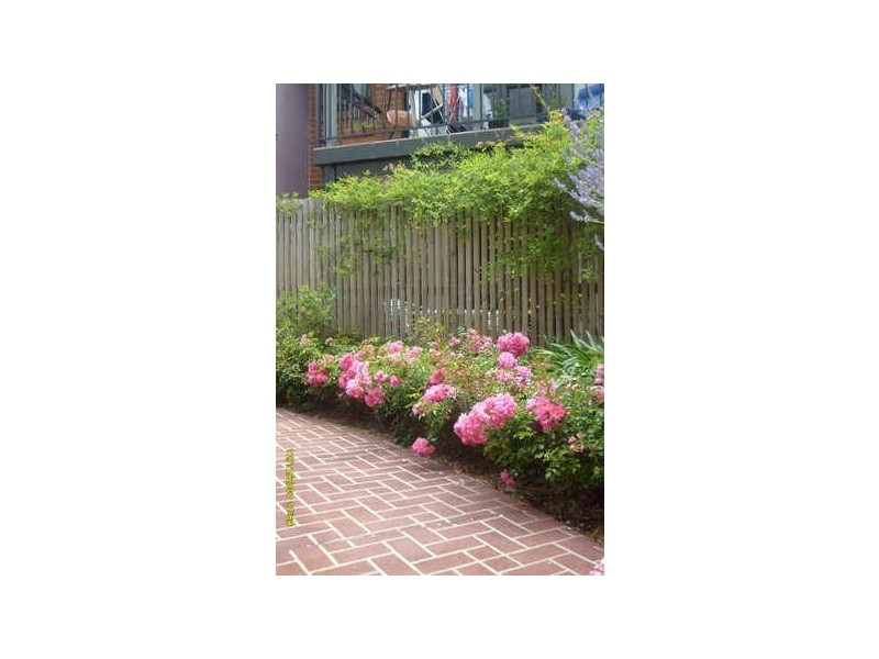 6/62 Henty Street, Braddon ACT 2612