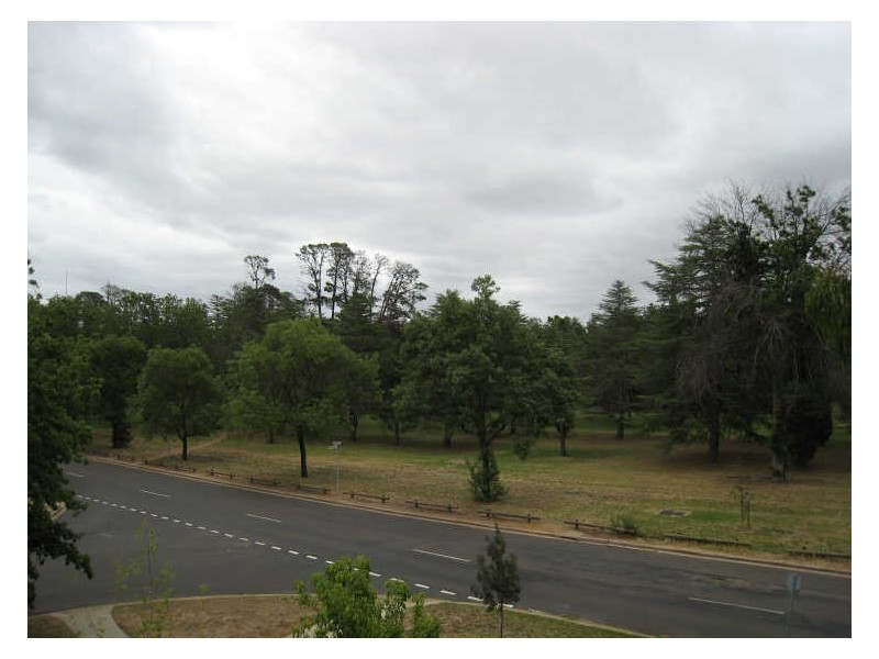 5/38 Watson Street, Turner ACT 2612