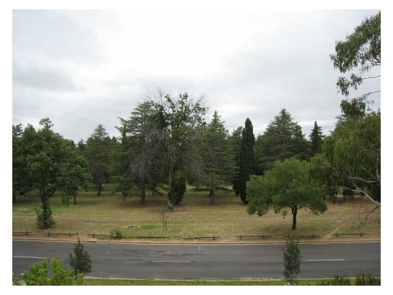 5/38 Watson Street, Turner ACT 2612