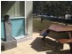 8/12 Challis Street, Dickson ACT 2602