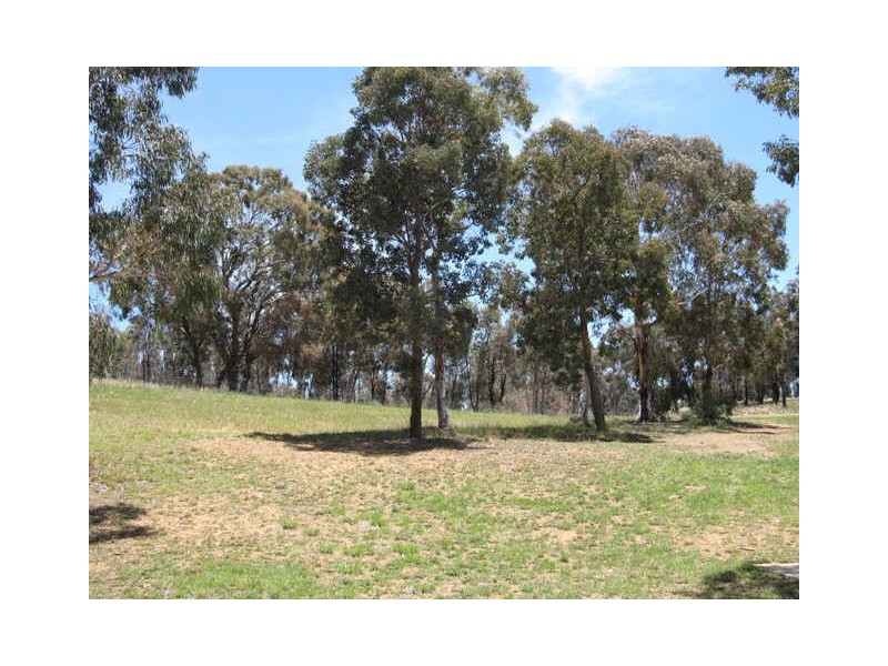 4/17 Fernyhough Street, Lyneham ACT 2602