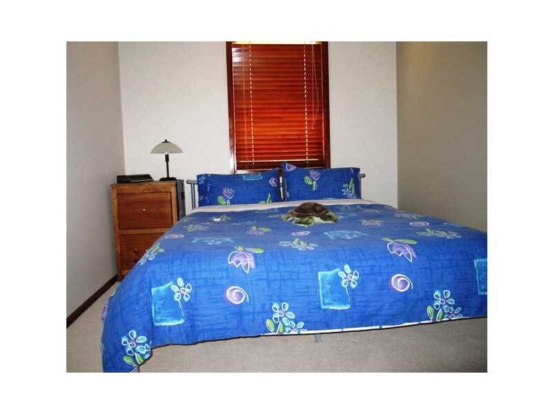 31 Molesworth Street, Watson ACT 2602