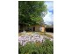 13 Ligertwood Street, Evatt ACT 2617