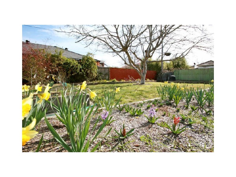 33 Elder Street, Braddon ACT 2612