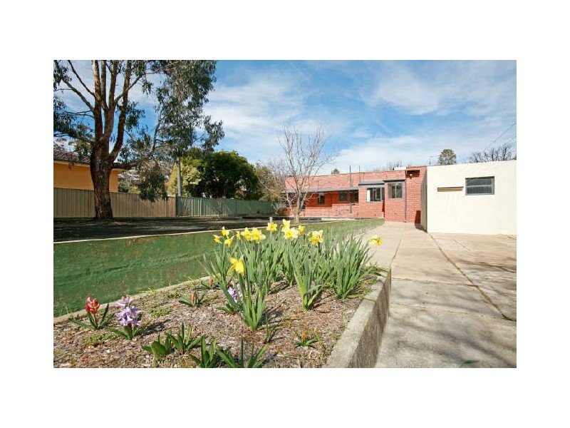 33 Elder Street, Braddon ACT 2612