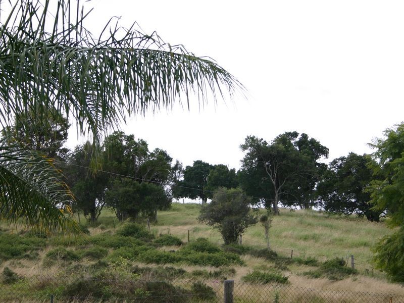 99 Zischke Road, Regency Downs QLD 4341