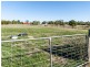 10 Acacia Court, Plainland QLD 4341