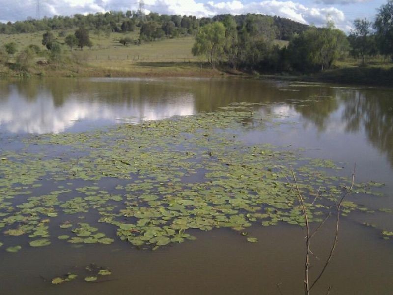 67 Blenheim Road, Blenheim QLD 4341