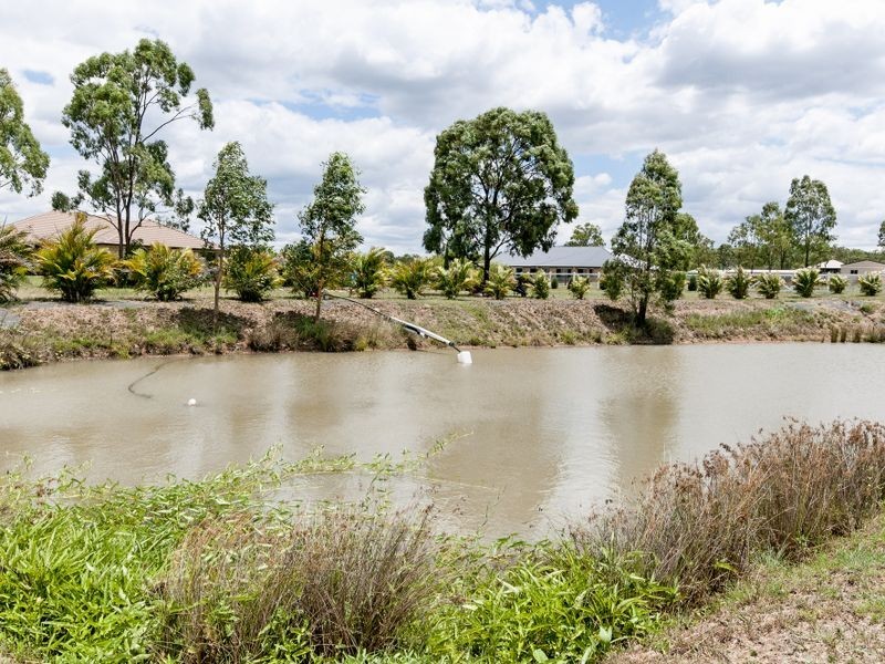 53 Stephenson Crescent, Kensington Grove QLD 4341