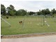 19 Storr Street, Laidley QLD 4341