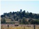 Laidley QLD 4341