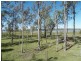 661 Atkinson Dam Road, Atkinsons Dam QLD 4311