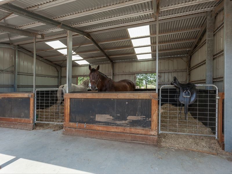 19 Hughes Road, Plainland QLD 4341