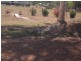 2 Helen Court, Regency Downs QLD 4341