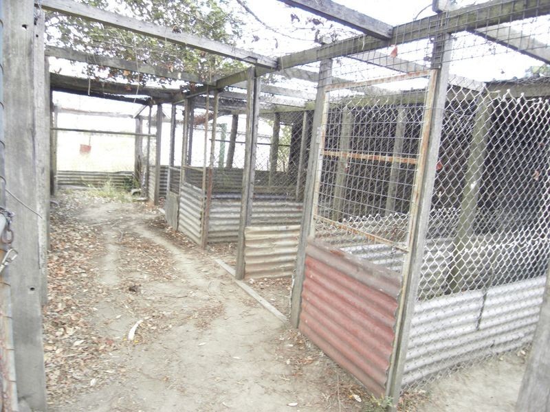 50 Otto Road, Plainland QLD 4341