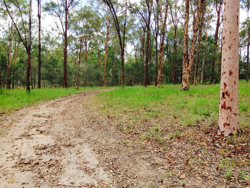 6 Finch Court, Regency Downs QLD 4341