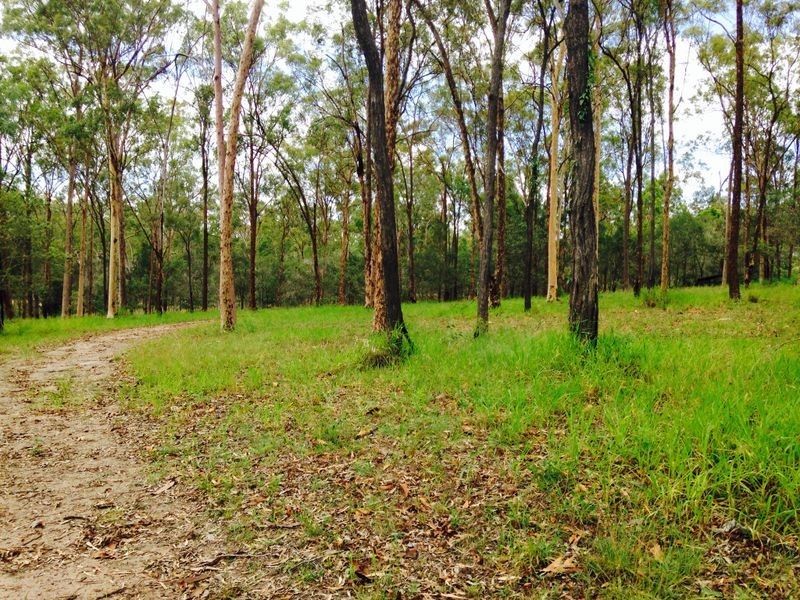 6 Finch Court, Regency Downs QLD 4341