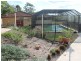 6 Wilson Court, Laidley QLD 4341