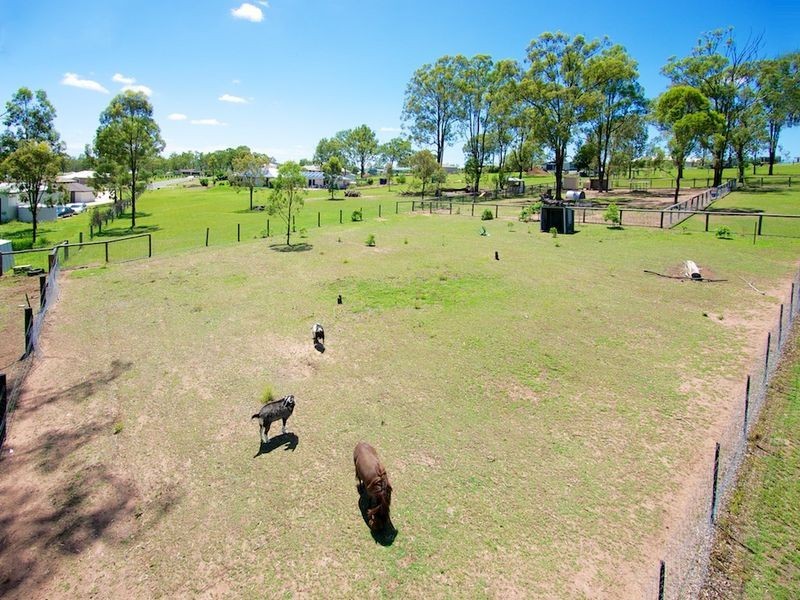 18 Stephenson Crescent, Kensington Grove QLD 4341