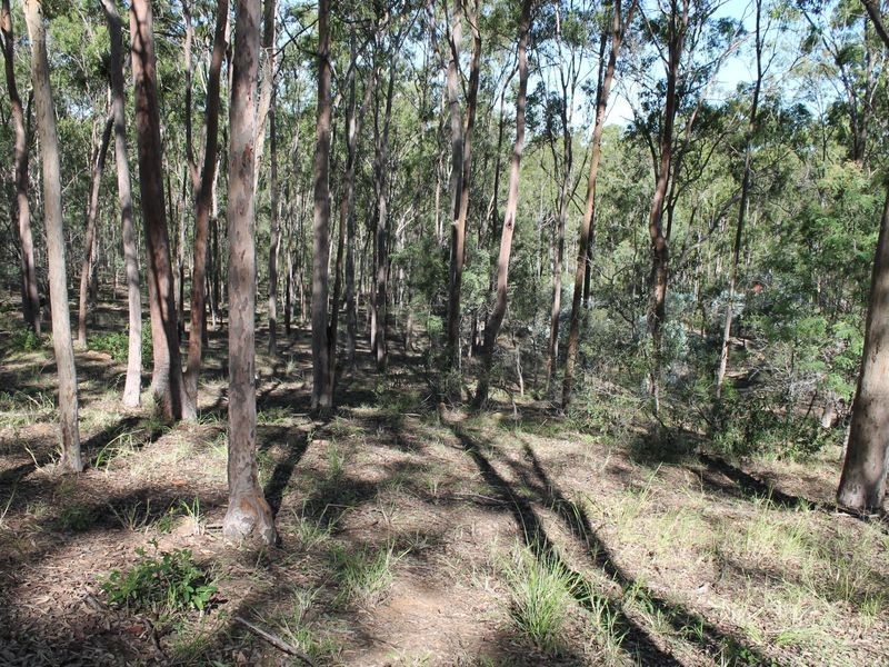 53 Park Road, Grandchester QLD 4340