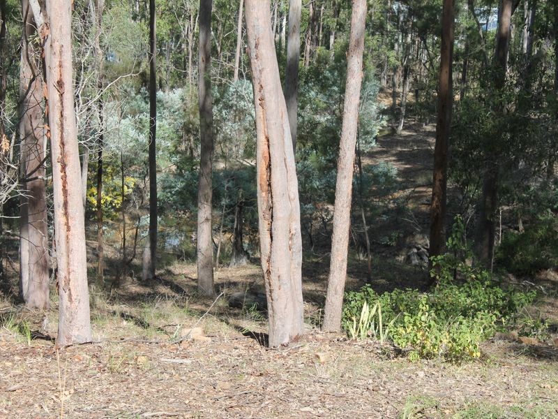 53 Park Road, Grandchester QLD 4340