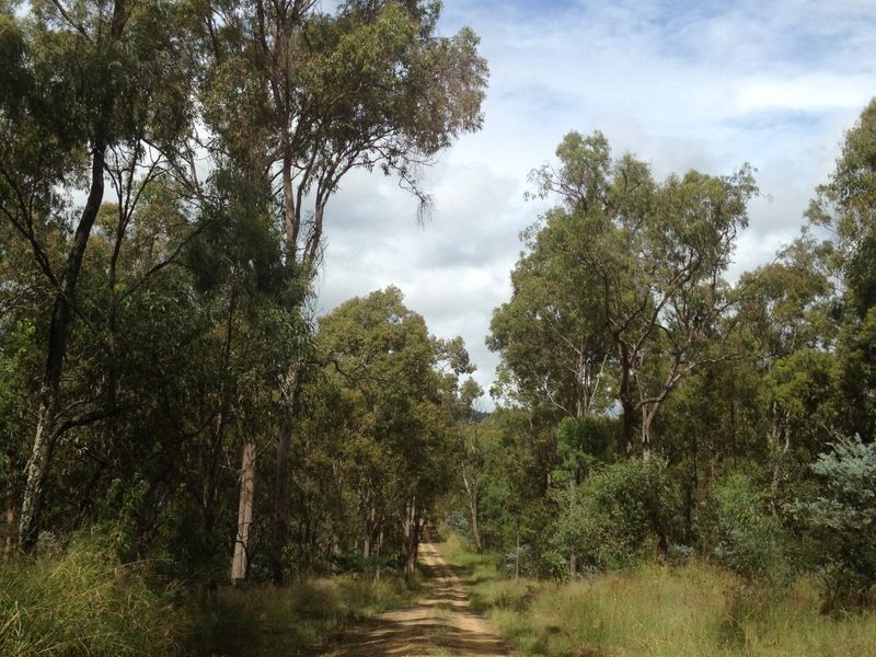 Laidley South QLD 4341