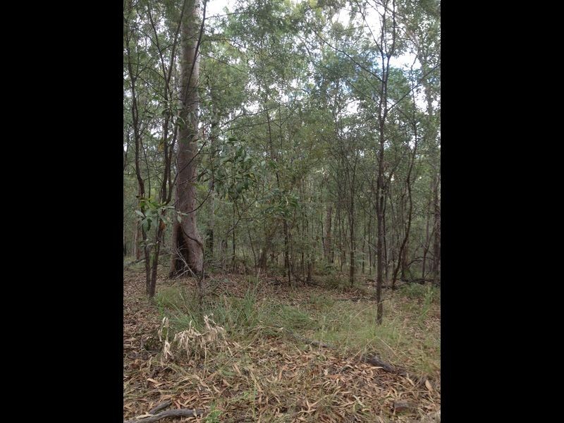 Laidley South QLD 4341