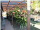 19 Gutt Road, Regency Downs QLD 4341