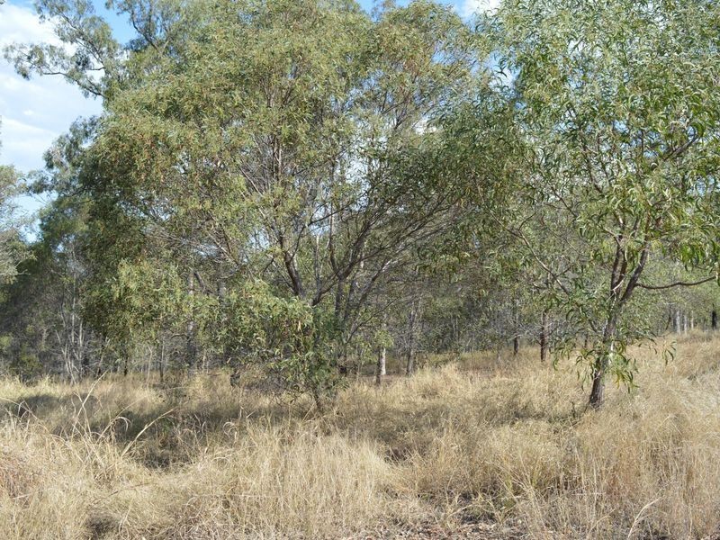 125 Peta Drive, Churchable QLD 4311