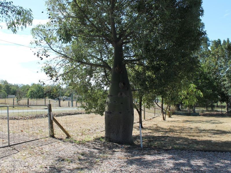 12 Advance Court, Kensington Grove QLD 4341