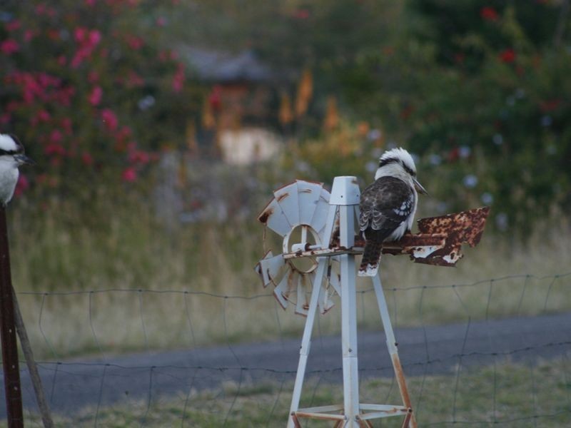 Kensington Grove QLD 4341