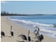 23 Ocean View Drive, Woodgate QLD 4660