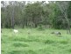 Crowley Vale QLD 4342