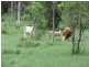 Crowley Vale QLD 4342